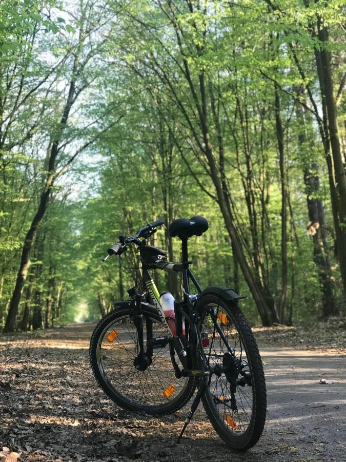 "Casa20200" 2 X Apartments Je 150Qm Fuer Business, Familien, Gruppen, Handwerker 15Min Von Berlin, Erdbeerhof, Outlet B5, 5Min Vom See Falkensee !! 2 Apartment Each 150Qm For Business , Families 15Min From Berlin!! Exterior foto